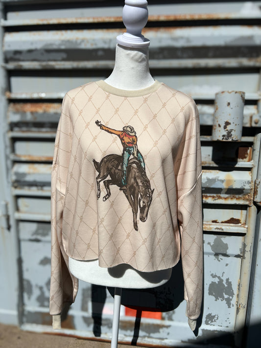 Stagecoach Top