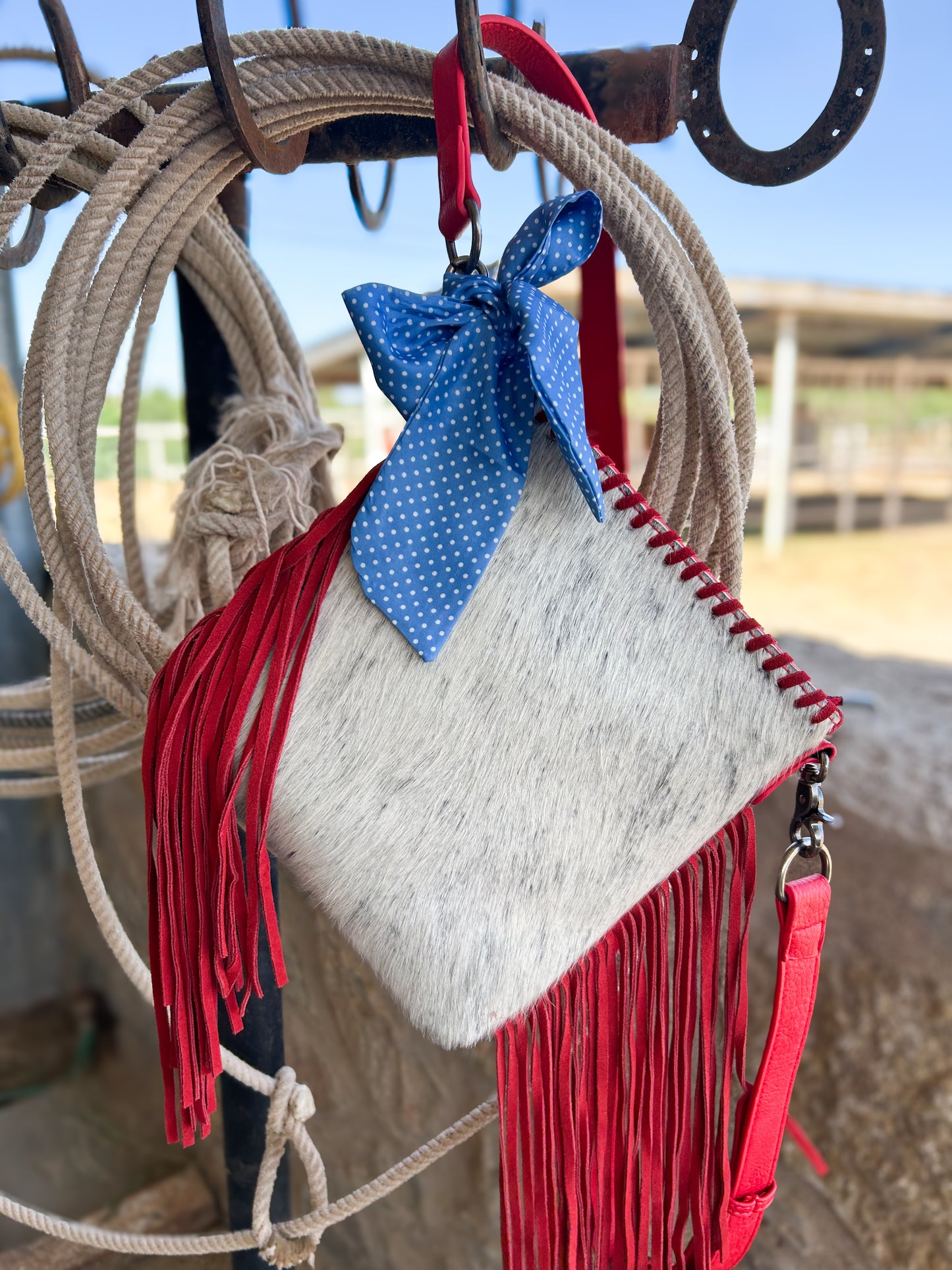 Red, Blue, and Cowhide Purse
