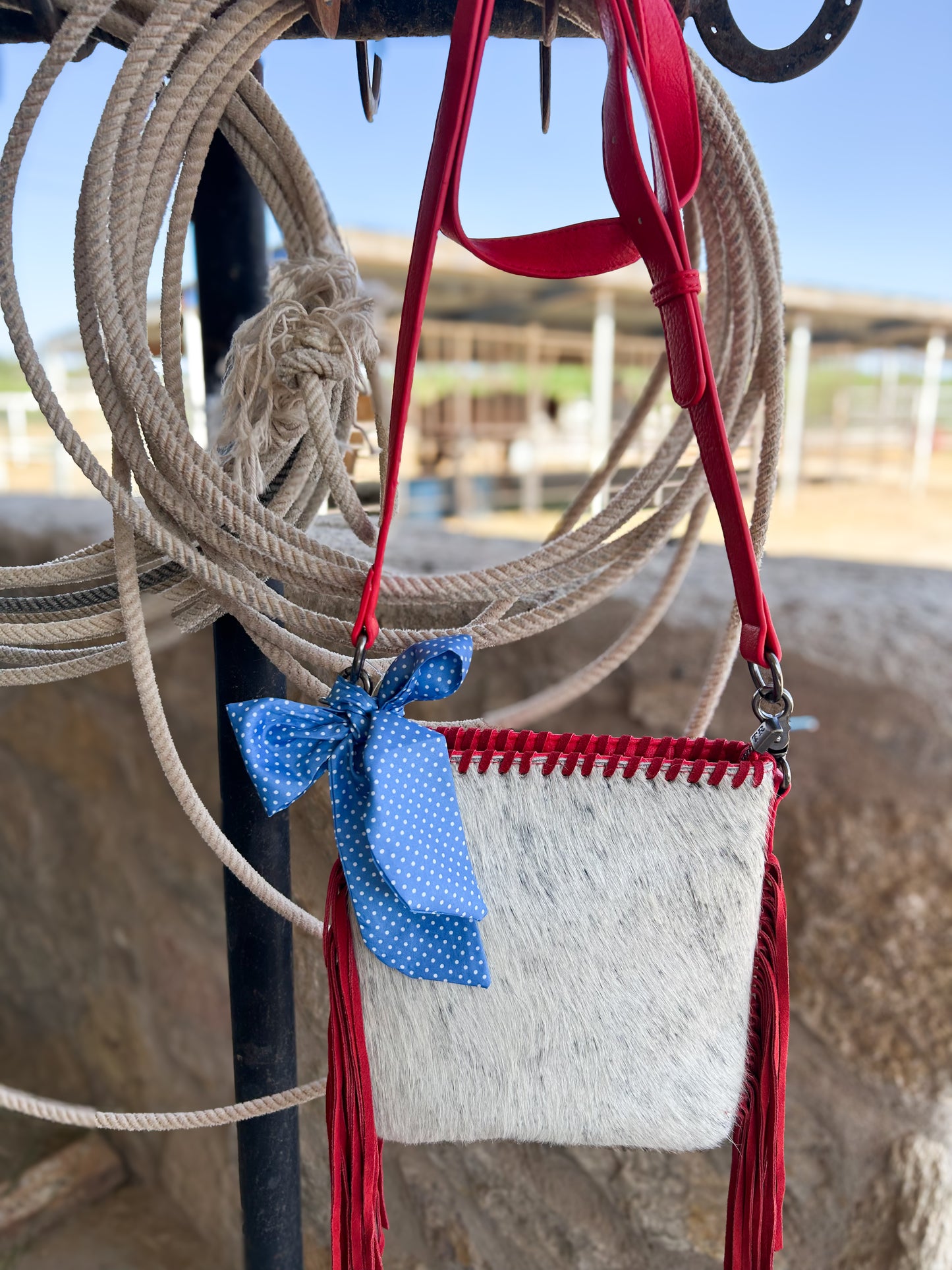 Red, Blue, and Cowhide Purse