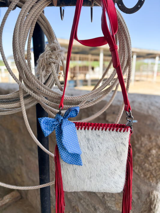 Red, Blue, and Cowhide Purse