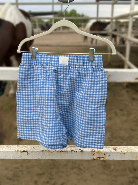 Blue Gingham Shorts