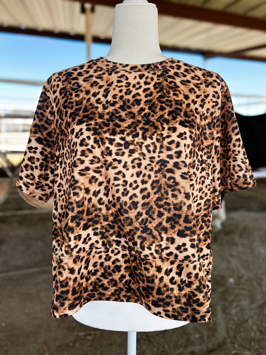Spot me Out in Leopard